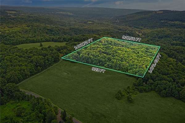 30 Acres of Recreational Land for Sale in Newfield, New York