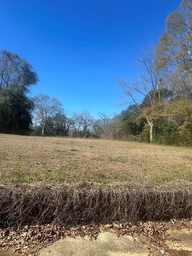 0.51 Acres of Residential Land for Sale in Greenville, Alabama