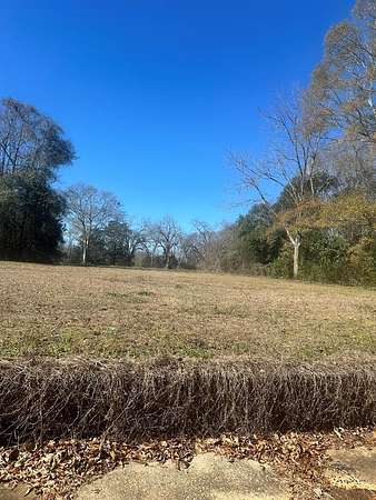 0.51 Acres of Residential Land for Sale in Greenville, Alabama
