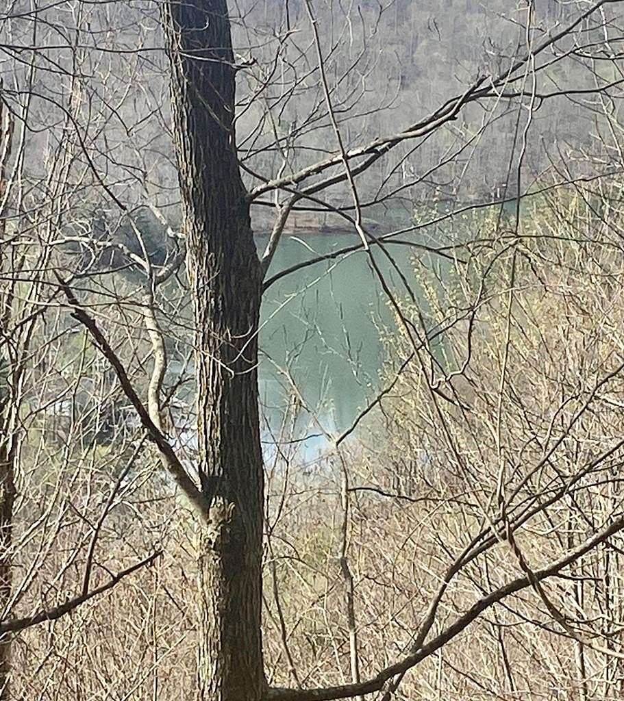 Residential Land for Sale in Robbinsville, North Carolina