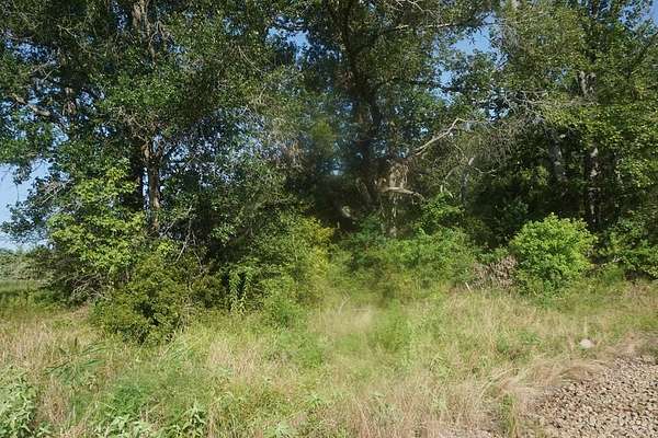 6 Acres of Land for Sale in Elkhart, Texas