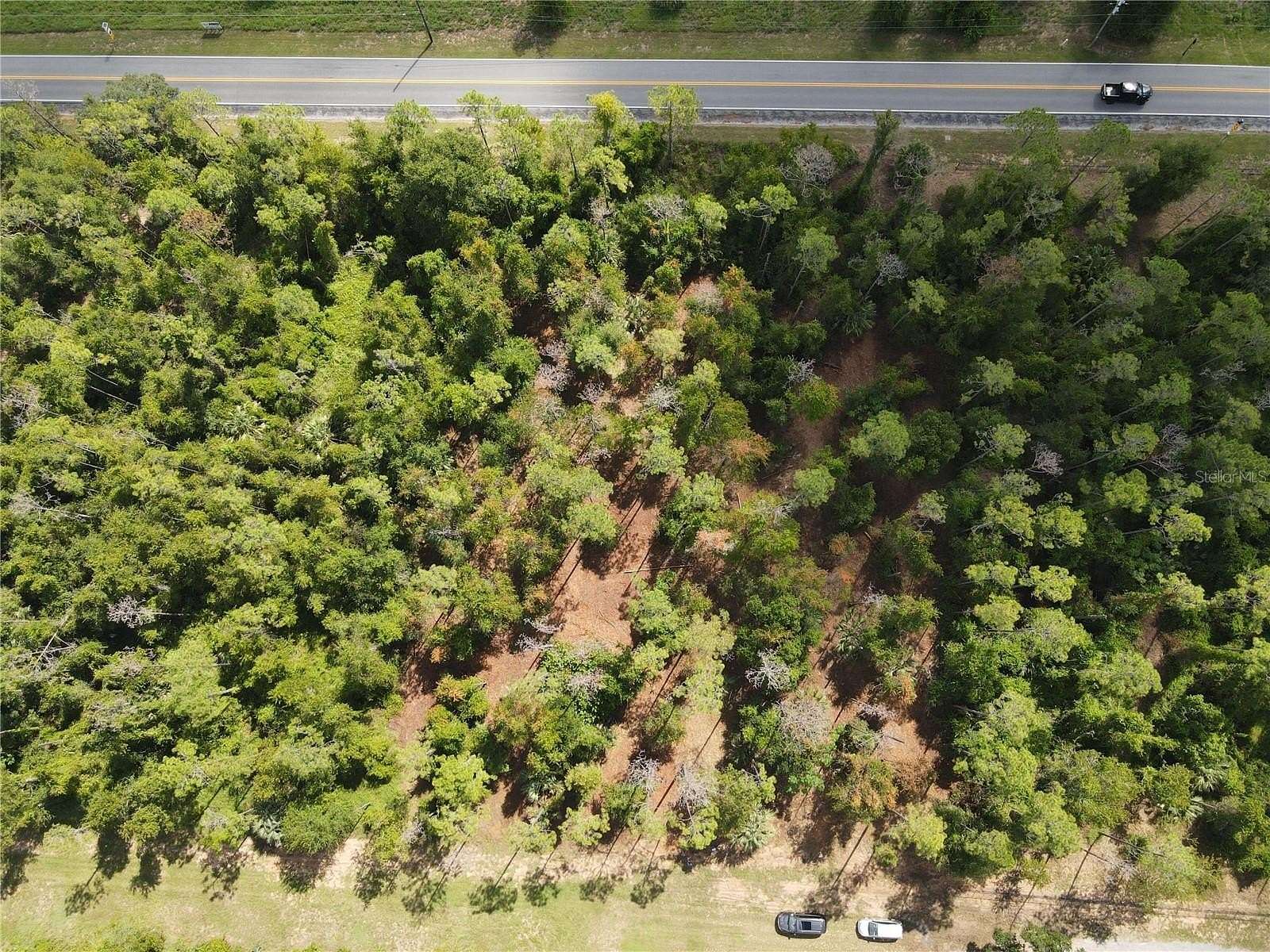 1.22 Acres of Residential Land for Sale in Montverde, Florida