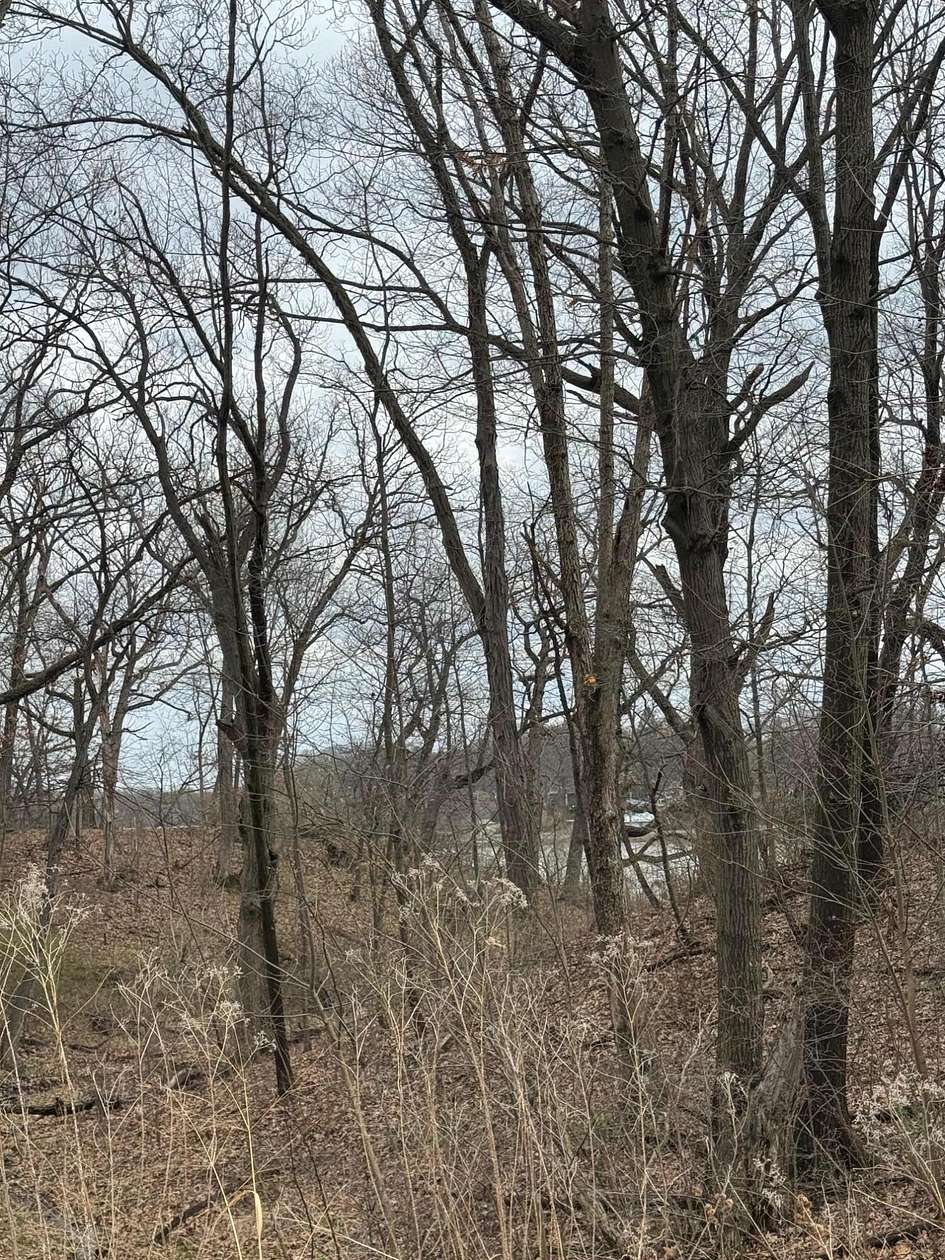 0.6 Acres of Residential Land for Sale in Hobart, Indiana