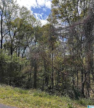 1.66 Acres of Residential Land for Sale in Wedowee, Alabama