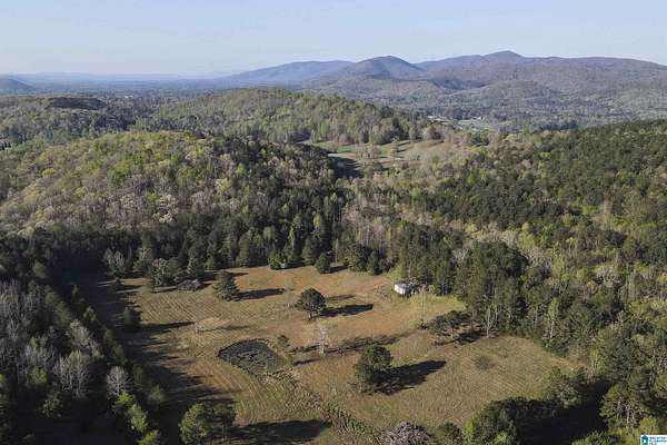 50 Acres of Recreational & Residential Land for Sale in Anniston, Alabama