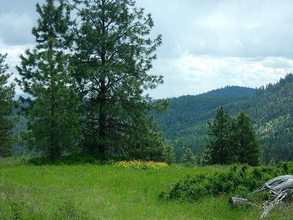 37.4 Acres of Recreational & Residential Land for Sale in Valley, Washington