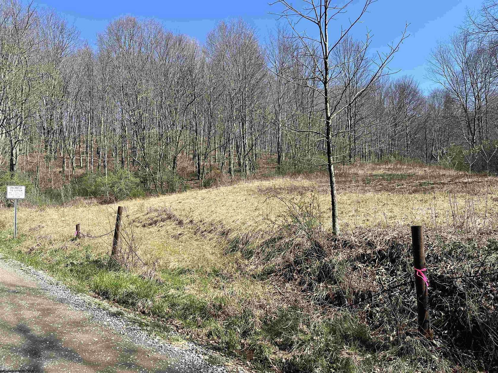 10 Acres of Recreational & Residential Land for Sale in French Creek, West Virginia
