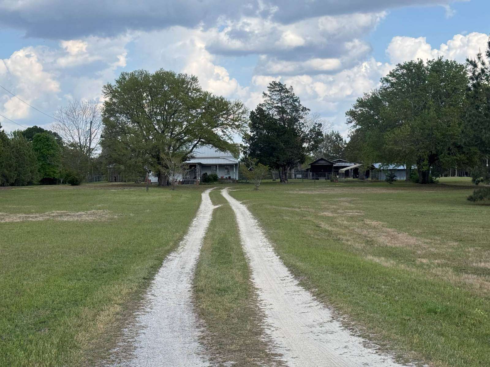 120 Acres of Land for Sale in Martin, South Carolina