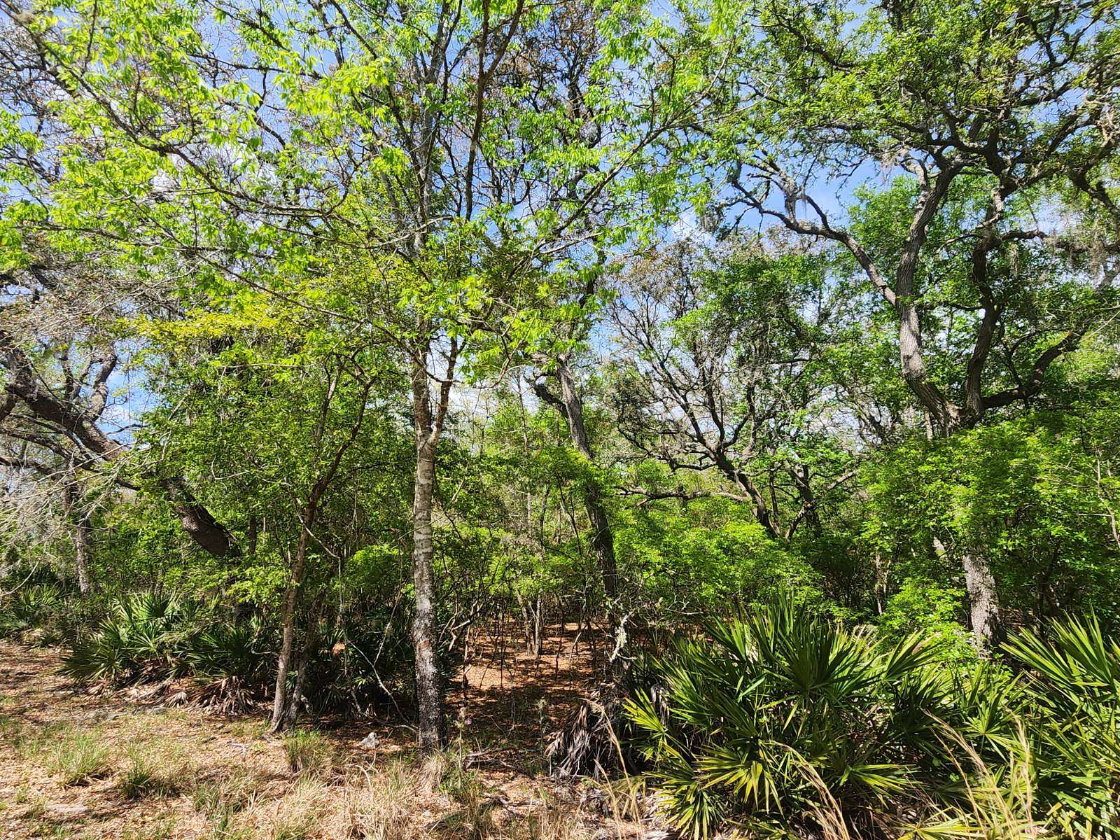 1.14 Acres of Residential Land for Sale in Fanning Springs, Florida