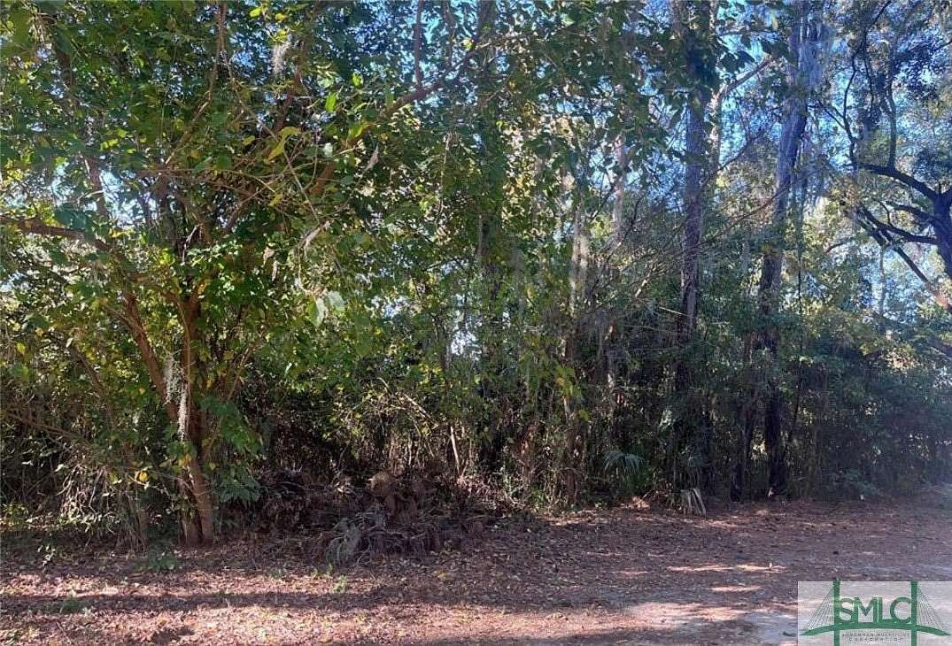 0.31 Acres of Residential Land for Sale in Savannah, Georgia