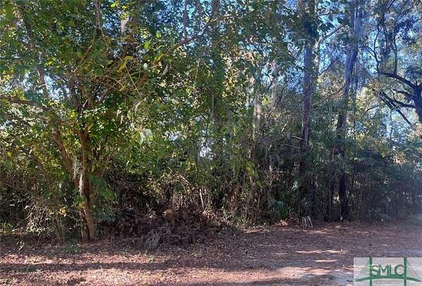 0.31 Acres of Residential Land for Sale in Savannah, Georgia
