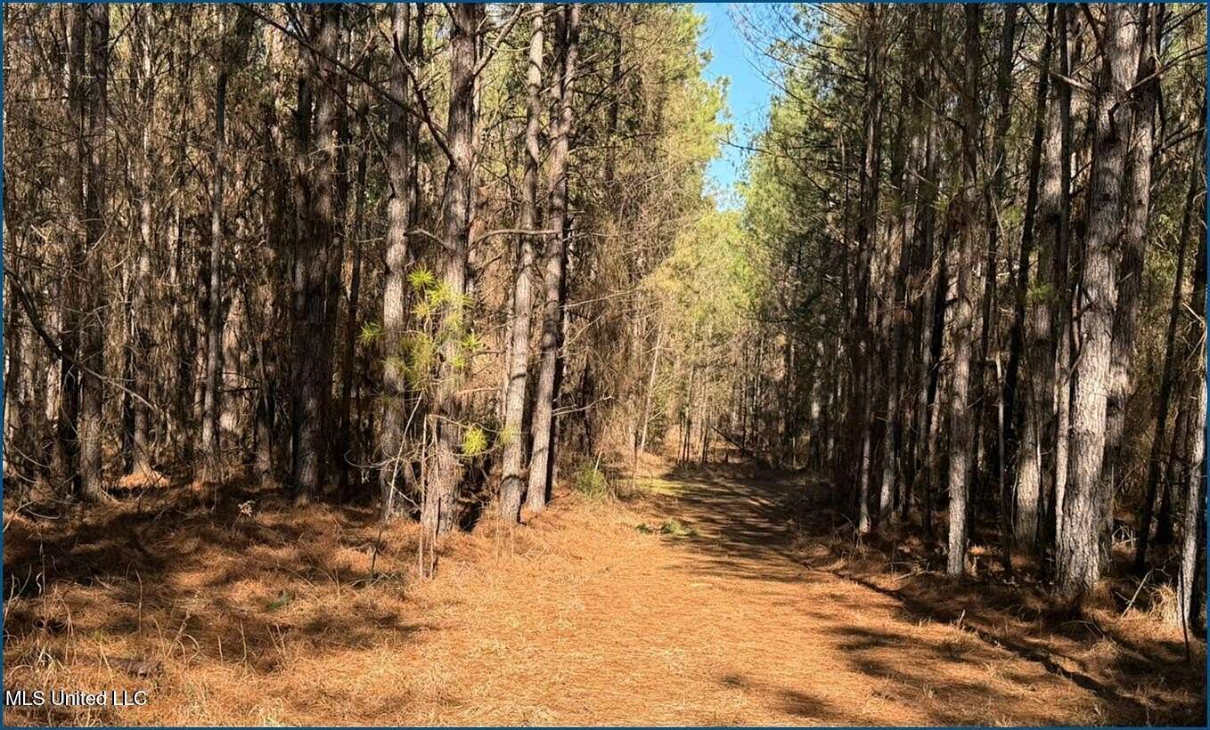 121 Acres of Recreational Land for Sale in Ethel, Mississippi
