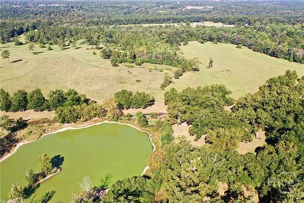 274 Acres of Recreational Land for Sale in Cairo, Georgia