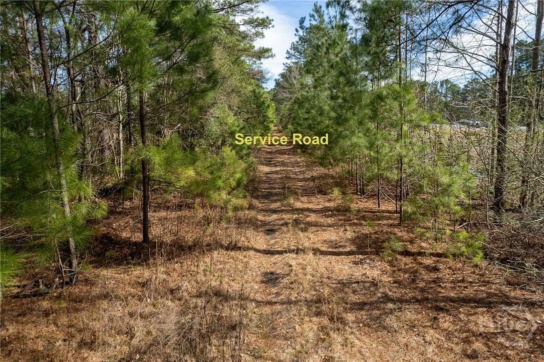 5 Acres of Residential Land for Sale in Savannah, Georgia