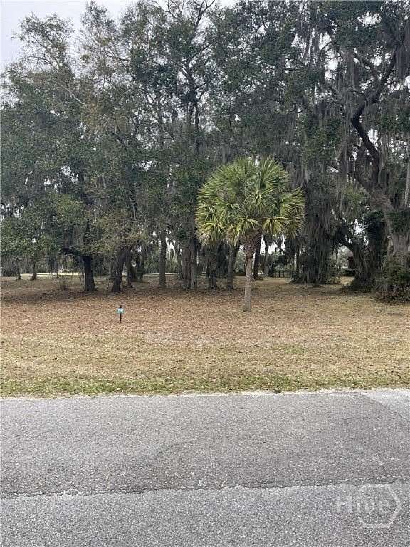 1.2 Acres of Land for Sale in Townsend, Georgia