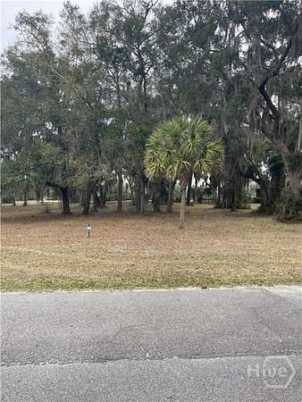 1.2 Acres of Land for Sale in Townsend, Georgia