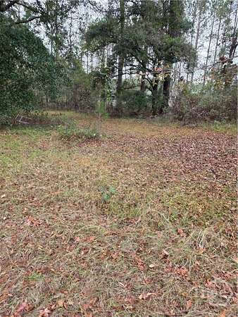 47.4 Acres of Recreational & Residential Land for Sale in Brooklet, Georgia
