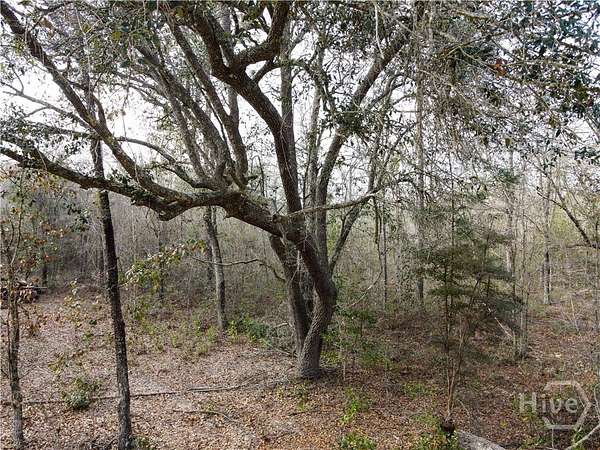 7.8 Acres of Residential Land for Sale in Pembroke, Georgia