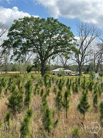 15 Acres of Recreational Land with Home for Sale in Surrency, Georgia