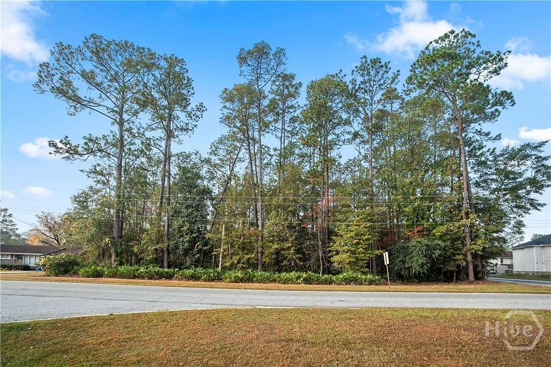 2 Acres of Land with Home for Sale in Hinesville, Georgia