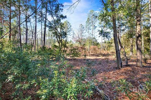 2 Acres of Residential Land for Sale in Springfield, Georgia