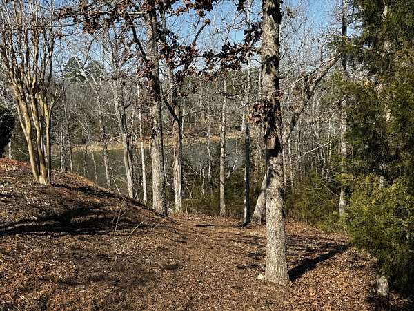 0.29 Acres of Residential Land for Sale in McCormick, South Carolina