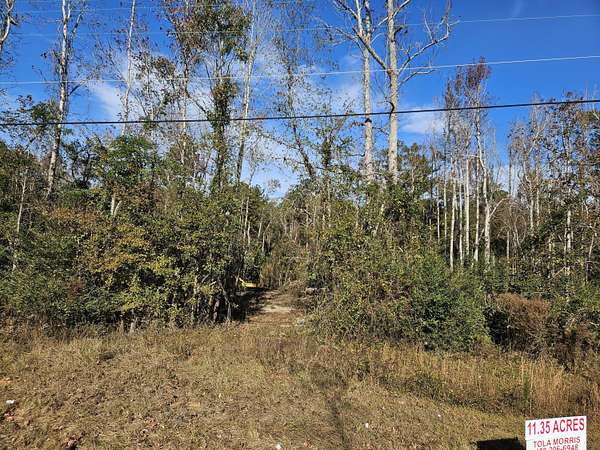 11.4 Acres of Recreational & Residential Land for Sale in Wrens, Georgia