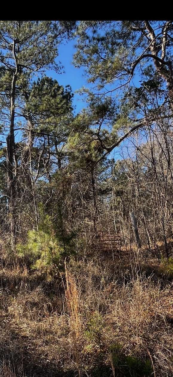 9 Acres of Residential Land for Sale in Warrenton, Georgia