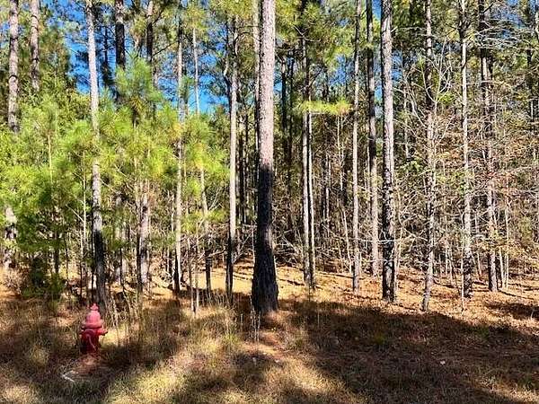 1.36 Acres of Land for Sale in Lincolnton, Georgia