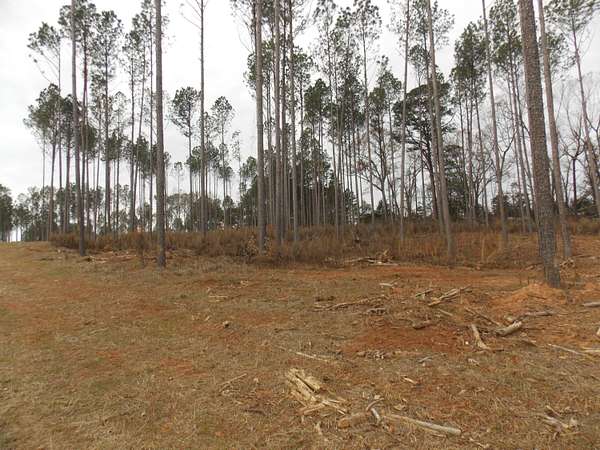 7.8 Acres of Residential Land for Sale in Lincolnton, Georgia