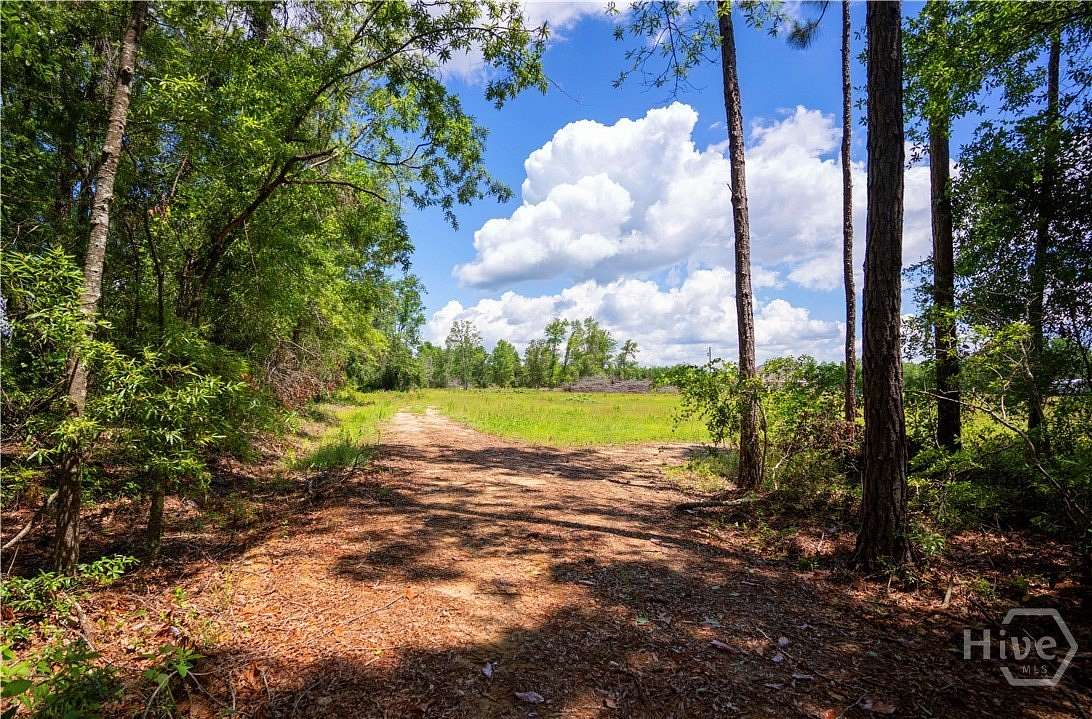 10 Acres of Land for Sale in Odum, Georgia
