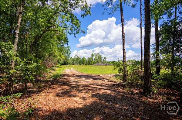 10 Acres of Land for Sale in Odum, Georgia
