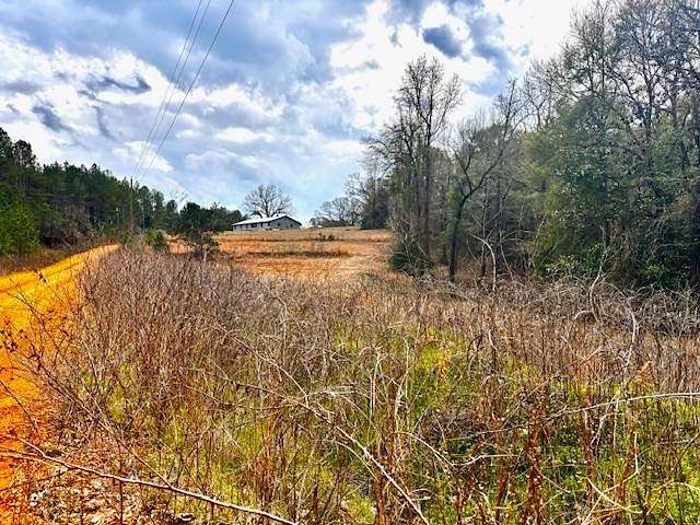 4.56 Acres of Land with Home for Sale in Red Level, Alabama