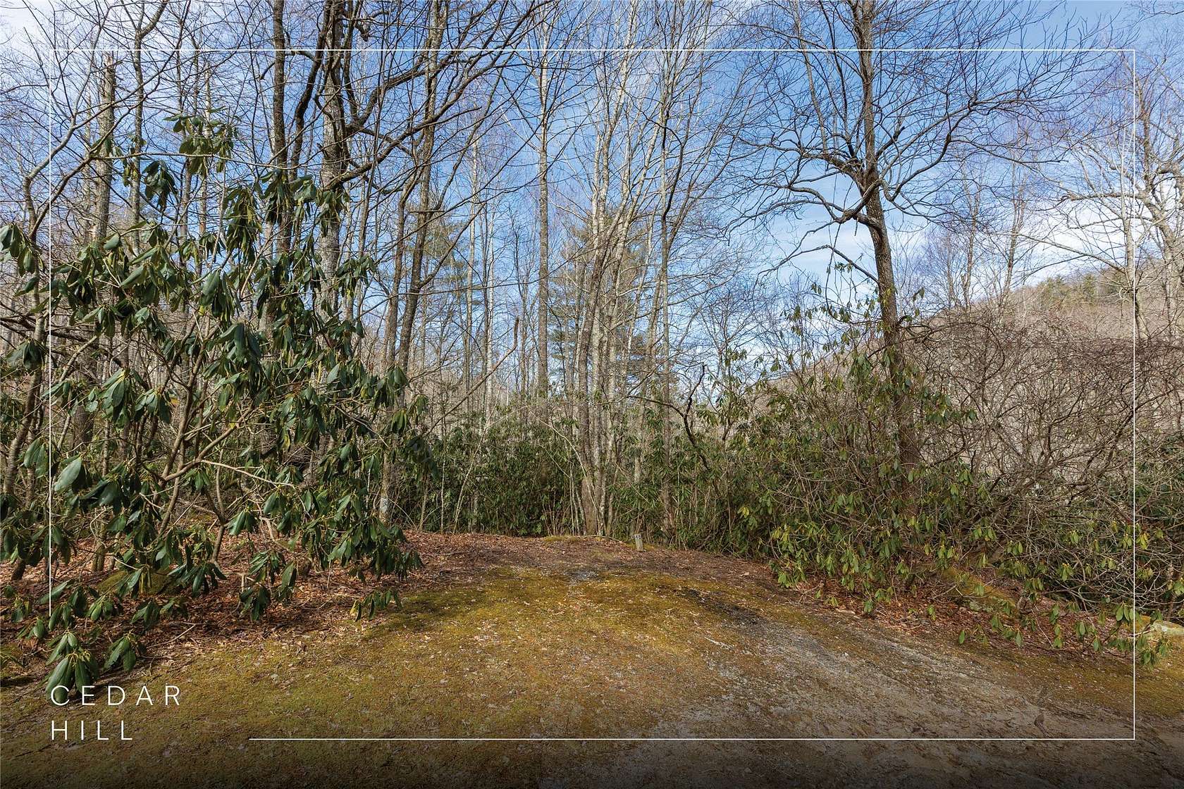 3.39 Acres of Residential Land for Sale in Cashiers, North Carolina