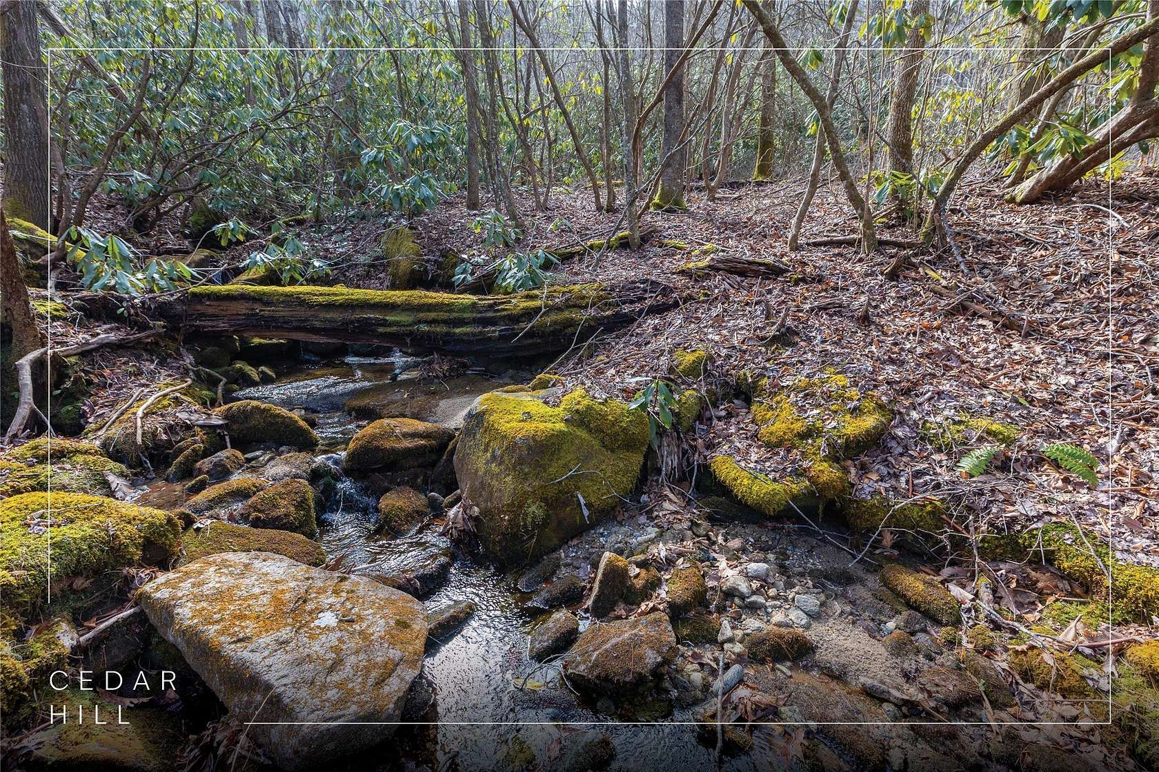 3.39 Acres of Residential Land for Sale in Cashiers, North Carolina