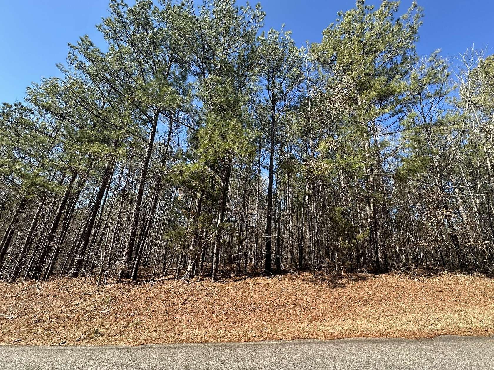 0.75 Acres of Residential Land for Sale in Lincolnton, Georgia