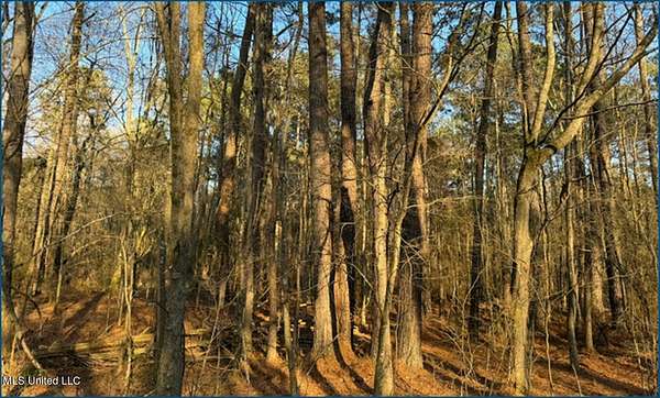 107 Acres of Recreational & Residential Land for Sale in Conehatta, Mississippi