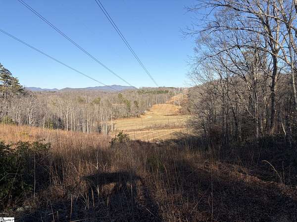 276 Acres of Land for Sale in Marietta, South Carolina