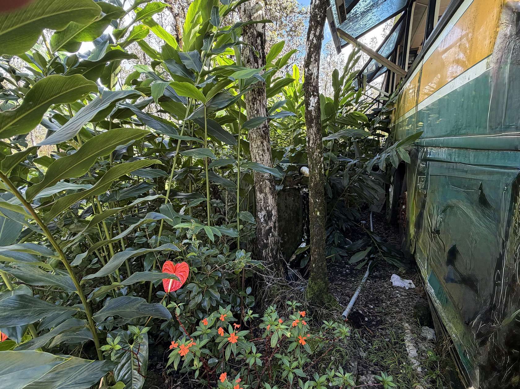 3 Acres of Residential Land for Sale in Mountain View, Hawaii