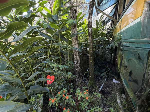 3 Acres of Residential Land for Sale in Mountain View, Hawaii