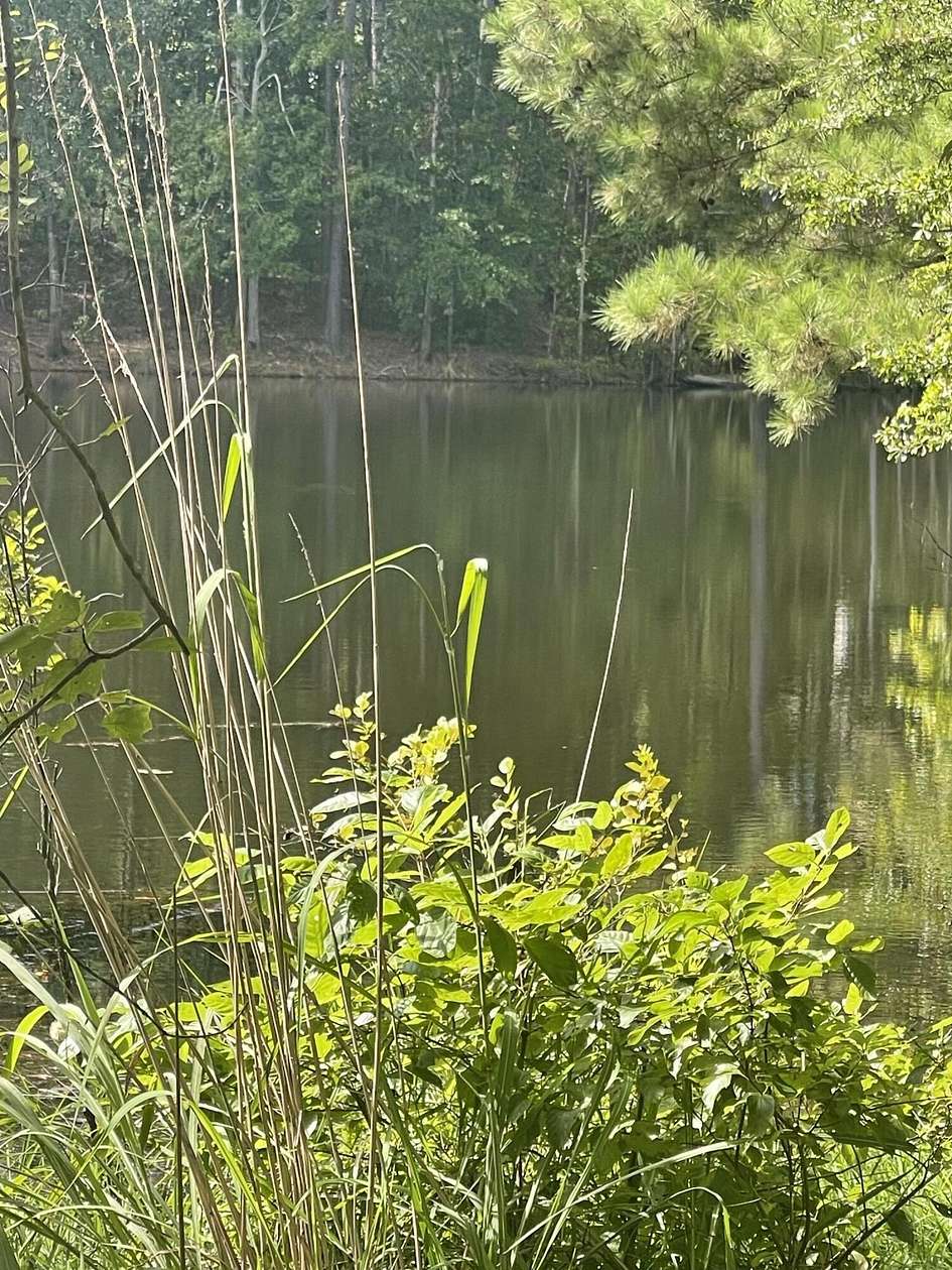 0.9 Acres of Residential Land for Sale in Aiken, South Carolina