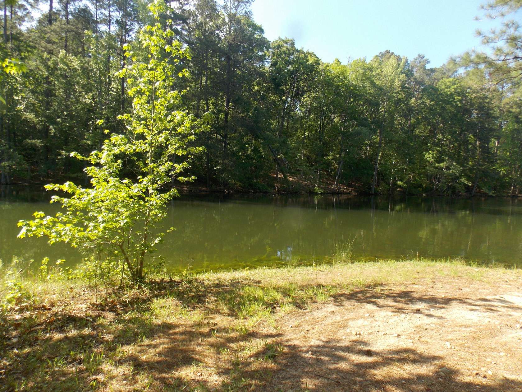 0.75 Acres of Land for Sale in Lincolnton, Georgia