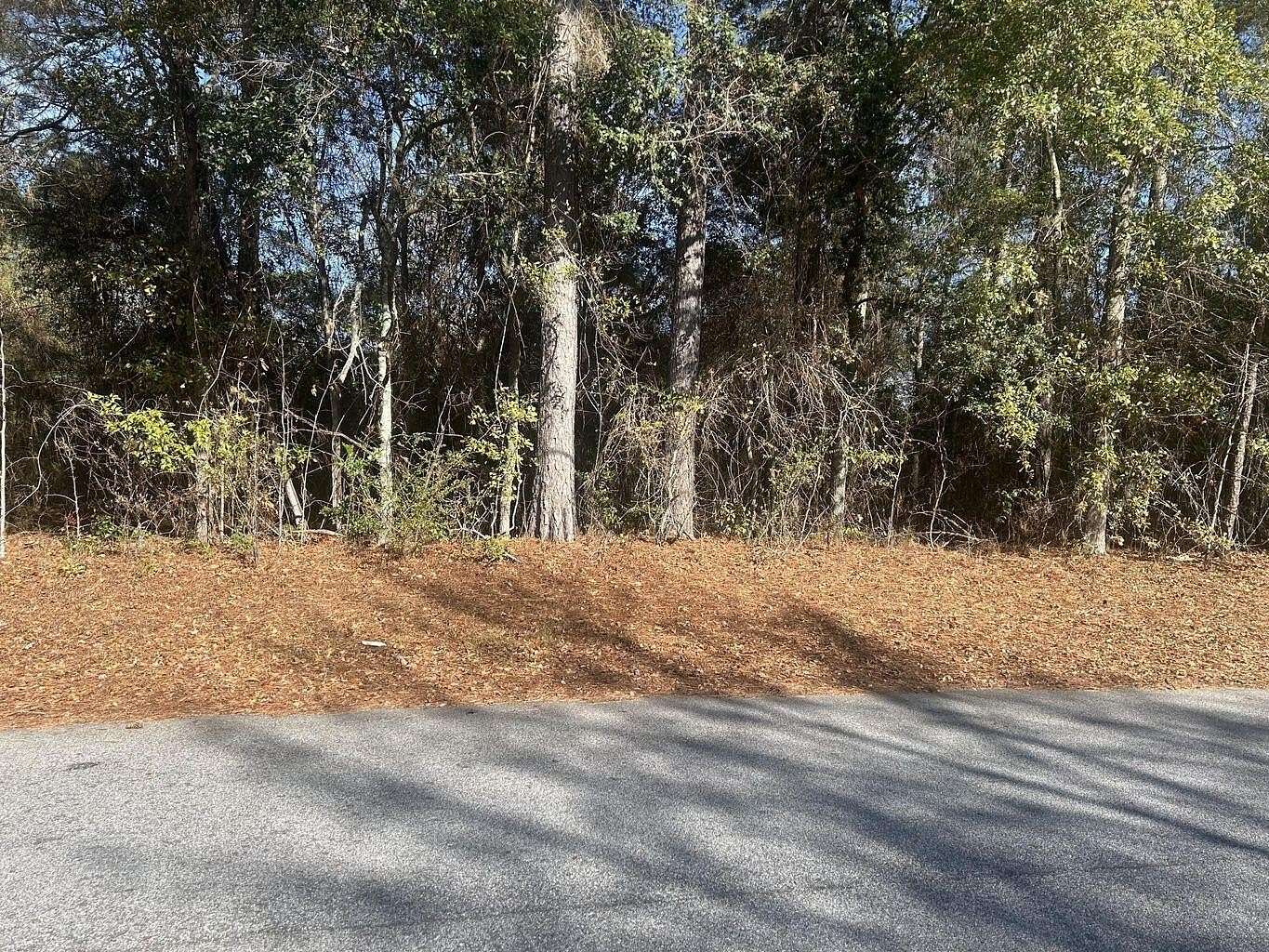 1.24 Acres of Residential Land for Sale in New Ellenton, South Carolina