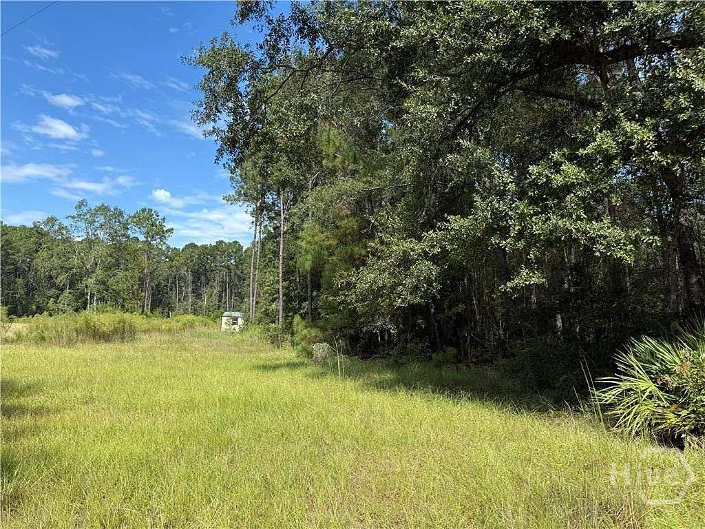 1 Acre of Residential Land for Sale in Rincon, Georgia