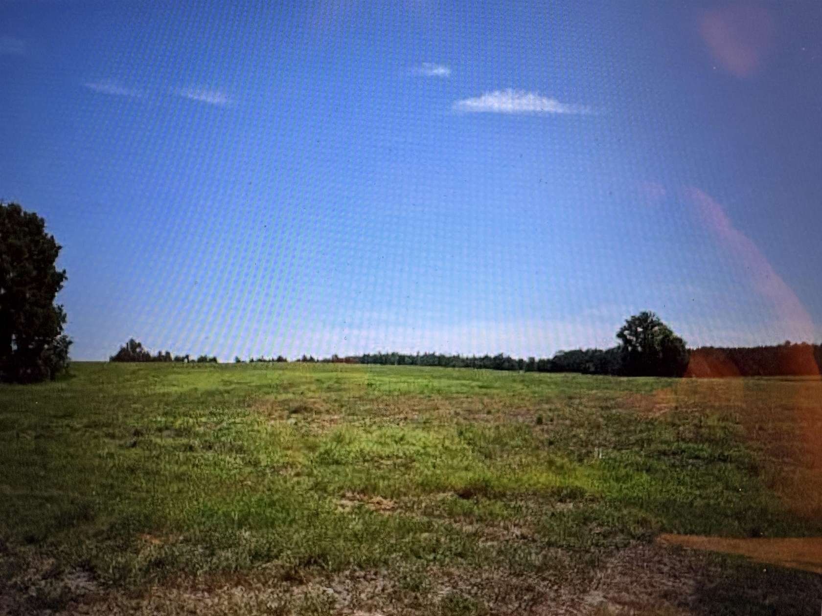 10 Acres of Agricultural Land for Sale in Lake City, Florida