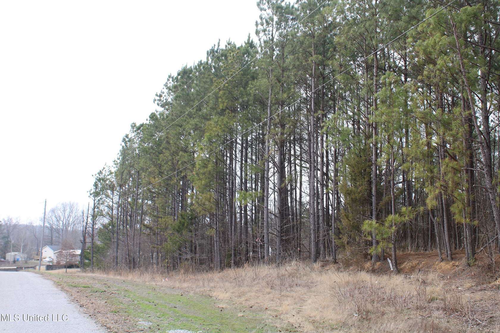 1.6 Acres of Residential Land for Sale in Byhalia, Mississippi