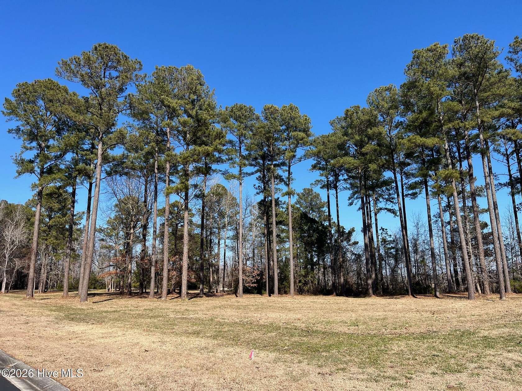 1 Acre of Residential Land for Sale in Oriental, North Carolina
