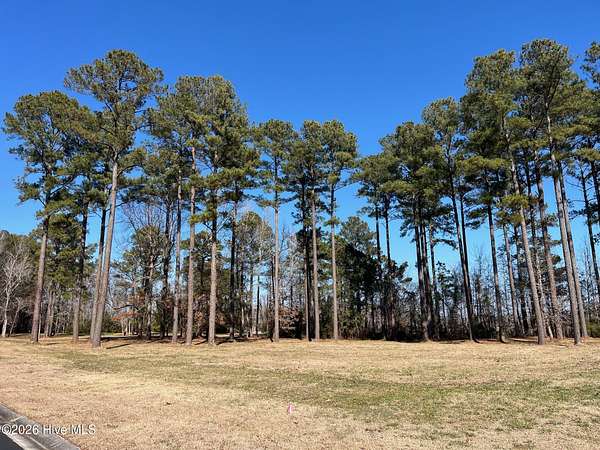 1 Acre of Residential Land for Sale in Oriental, North Carolina