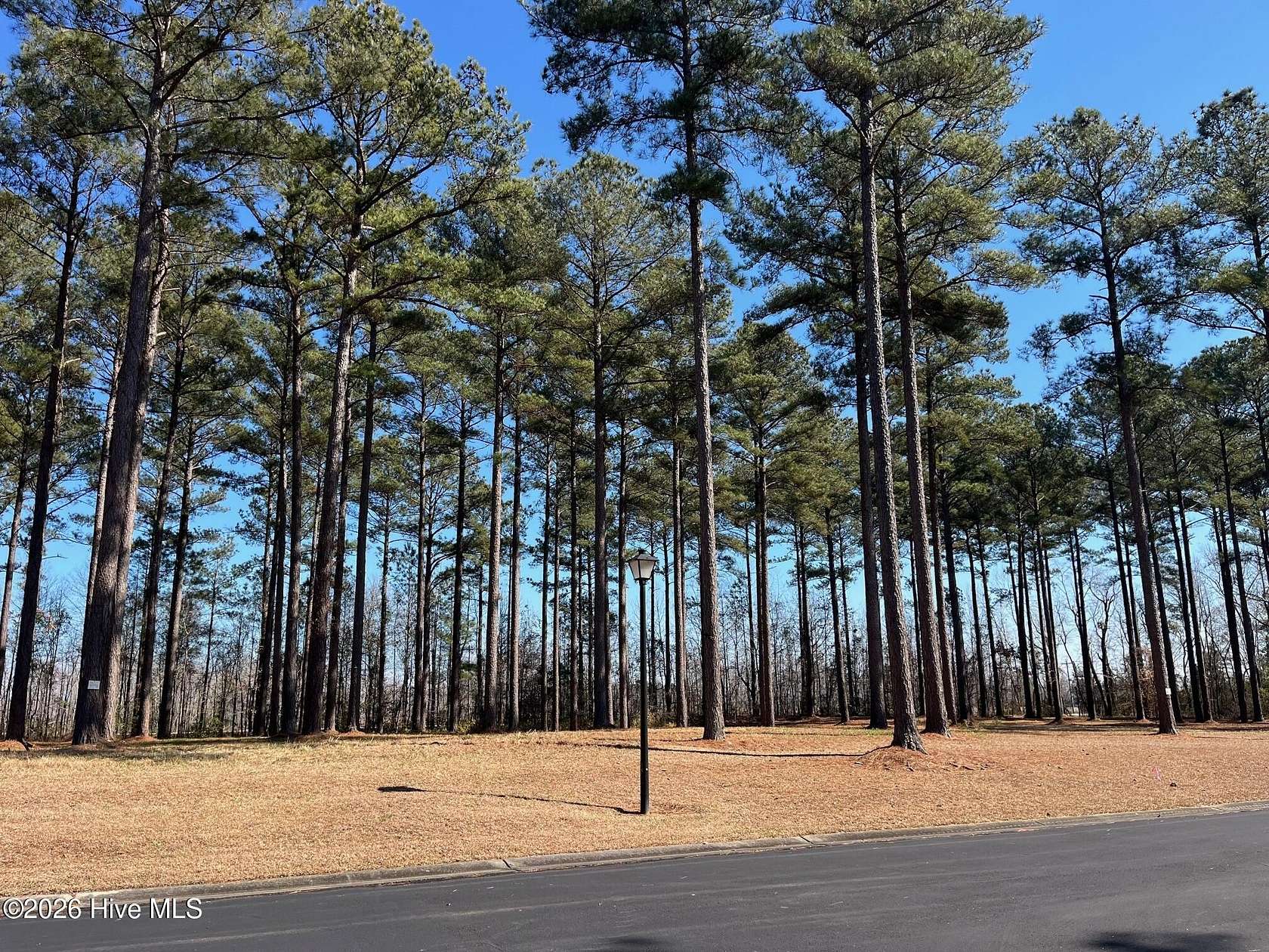 0.56 Acres of Residential Land for Sale in Oriental, North Carolina