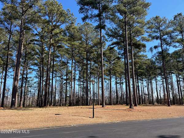 0.56 Acres of Residential Land for Sale in Oriental, North Carolina